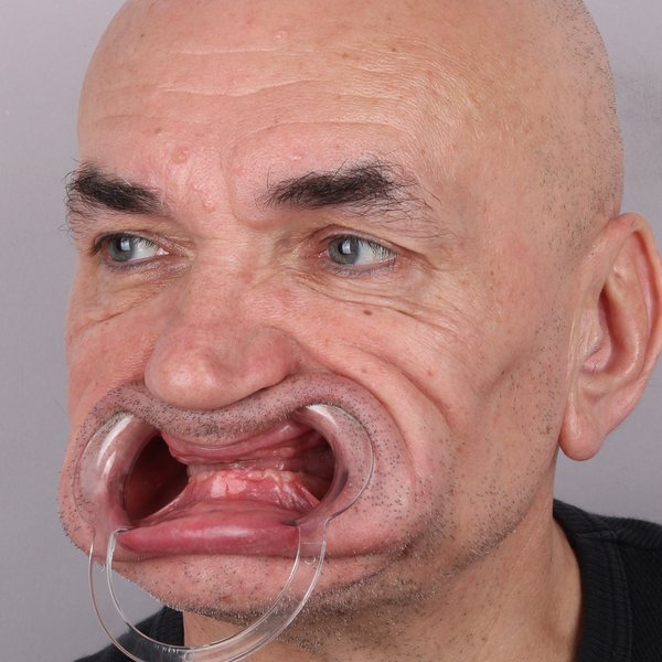 Przed profil prawy